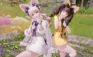 В Lost Ark на Западе нерфят бёдра, а в Китае ещё и заколки с крышечками зелий