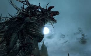 Bloodborne теперь работает на ПК при 60 fps даже на видеокартах с 4 ГБ памяти