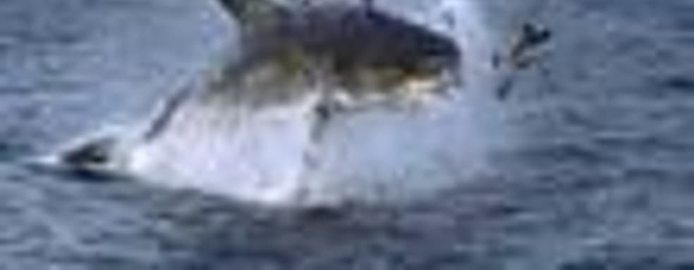 EA не собирается отказываться от  Take-Two?