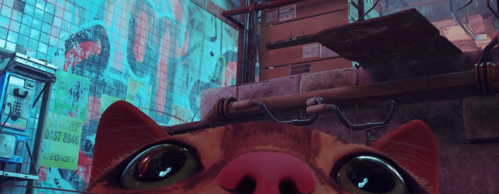 Stray вынесла God of War на ПК в Steam и стала самой высокооценённой игрой за 2022 год