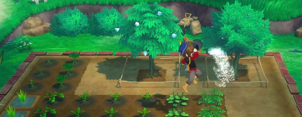 Базар, ферма и параплан. Что ждёт игроков в уютном симуляторе жизни Story of Seasons: Grand Bazaar