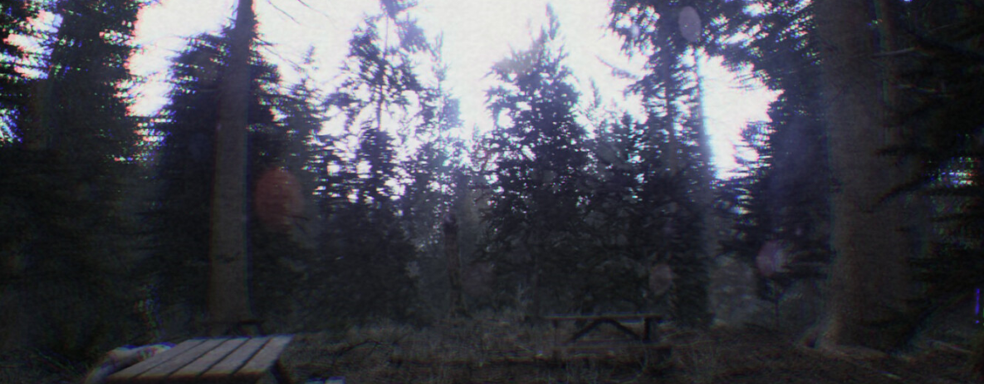 Жена инди-разработчика попала в лечебницу после тестирования хоррора на Unreal Engine 5. Последствия знакомства с Don't Scream