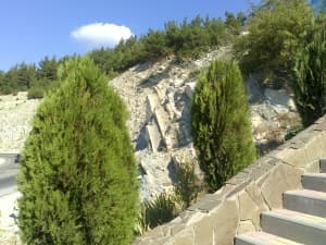 камера Sony Xperia go — примеры снимков