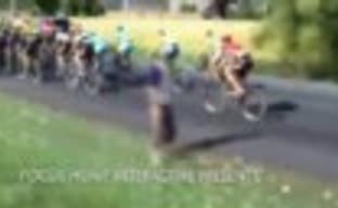 Тизер Pro Cycling Manager 2015 / Le Tour de France 2015 