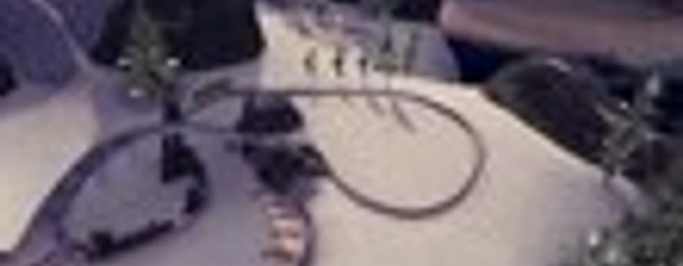 Особенности Wii-версии Tiger Woods PGA Tour 12: The Masters