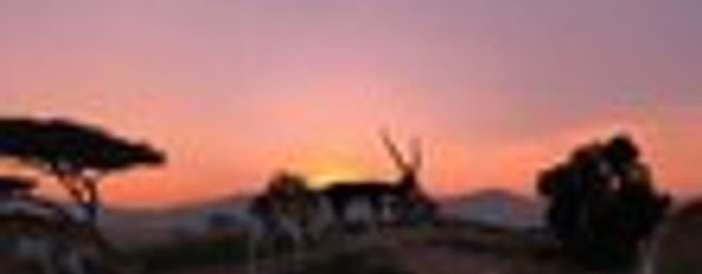 Cabela's Big Game Hunter 2012 в конце месяца