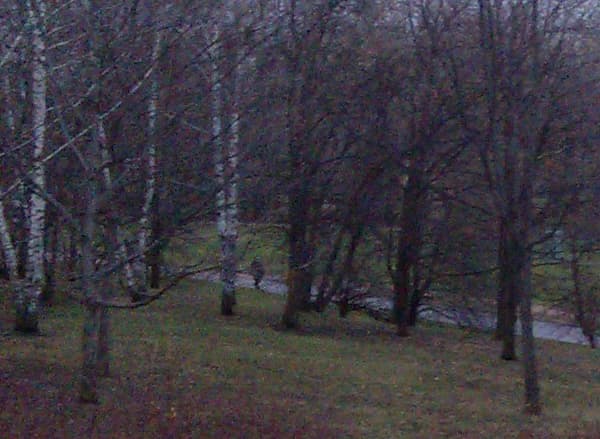 Снимок на камеру HP Pre 3