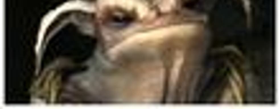 Fable 2 за 12 часов