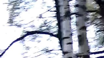 Экшн-камеры X-Ride Ultra HD и X-Ride Full HD