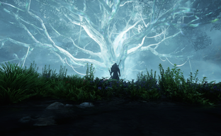 New World растеряла аудиторию. Разработчики анонсировали слияние серверов