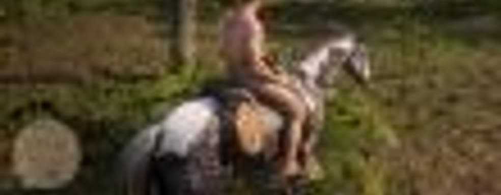 Игрок раздел главного героя Red Dead Redemption 2 и не обнаружил одной важной детали