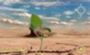 Загадка Emagon раскрыта