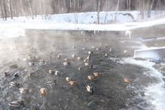 Видеосъемка фотоаппаратом Fujifilm X-T2