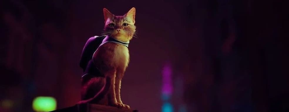 В базе данных PSN появилась дата выхода киберпанк-игры про котика Stray