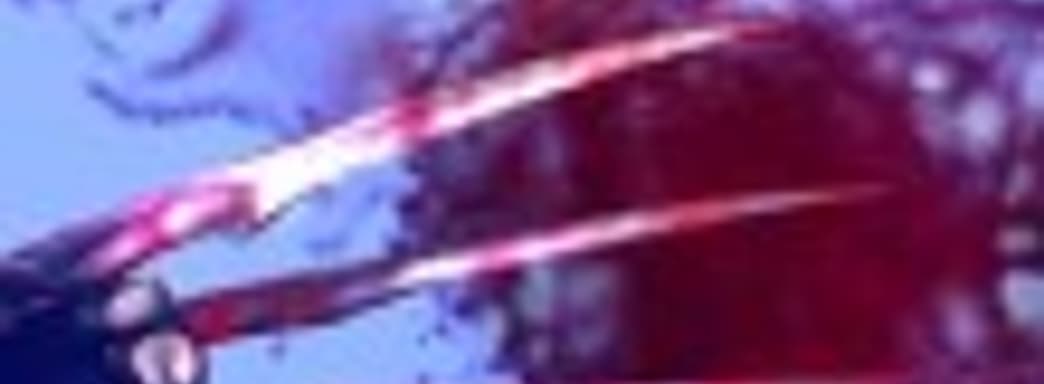 Ninja Gaiden 2 – Инь-Ян для замкнутой цепи