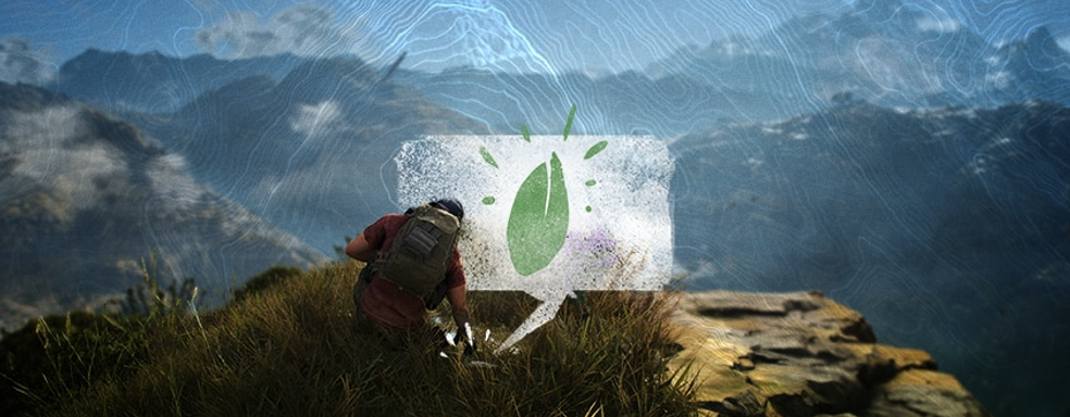 Благодаря Ubisoft игроки могут помочь экологии. Покупая предметы и высаживая деревья в Ghost Recon Breakpoint