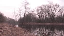 Посмотреть в полном размере