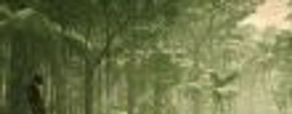 Особенности изучения мира в новом ролике Ancestors: The Humankind Odyssey