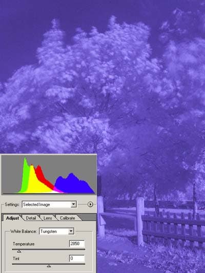 Снимок с фильтром ИКС 1