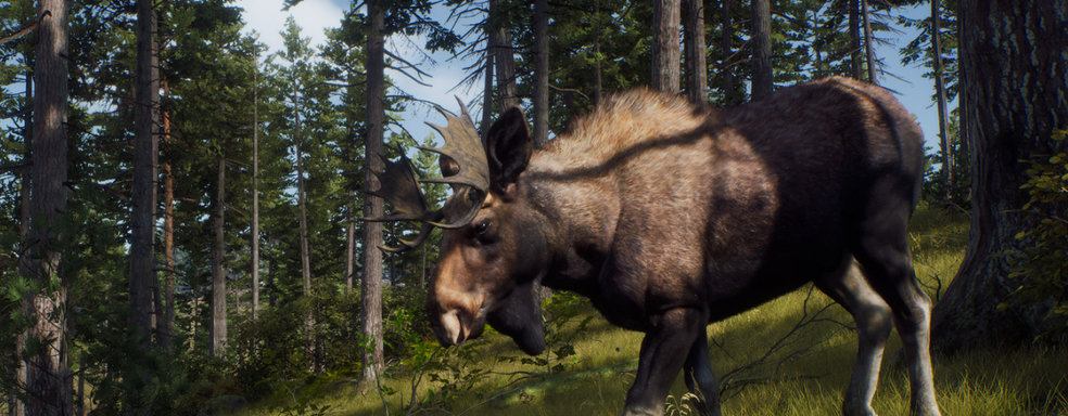 Way of the Hunter бросает вызов запрещённой в России theHunter Call of the Wild