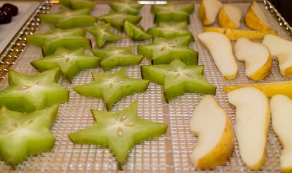 Дегидратор Rawmid DDV-06/07