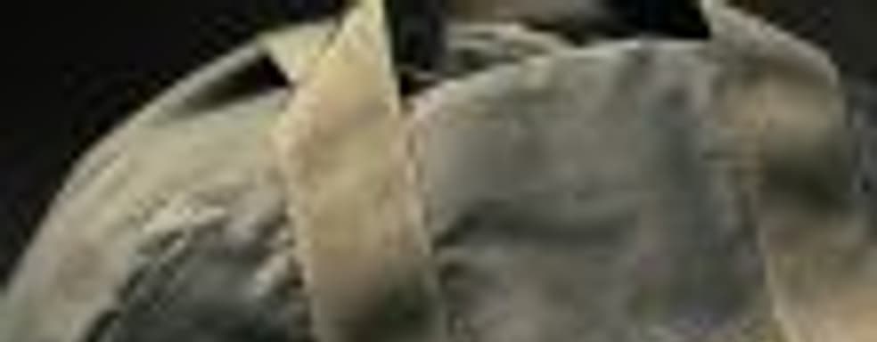 Bethesda, сумка, неторопливая: покупатели коллекционного издания Fallout 76 получат холщовые сумки не раньше следующей недели