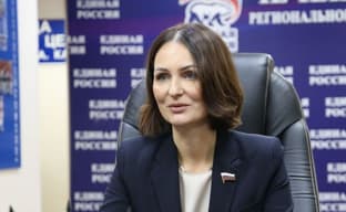 Баг с «беременными» детьми в The Sims 4 заставил депутатов задуматься о разработке ГОСТа на экспертизу видеоигр