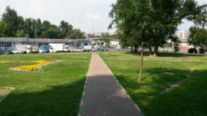 пример снимка смартфона Samsung Galaxy S4 mini