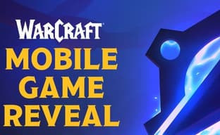 Blizzard отменила мобильную Warcraft в стиле Pokemon Go