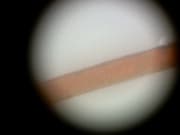 Документ-камеры Doko DS08FS и Doko DC810F