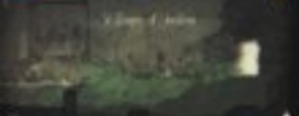 Большая демонстрация Salt and Sanctuary 