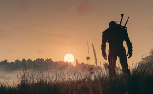 You Can Now Play as a Sorceress and Become an Owl in The Witcher 3. Advanced Mod Expands Spell System and Grants New Abilities