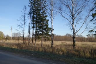 Видеосъемка фотоаппаратом. Sony DSC-RX100M2