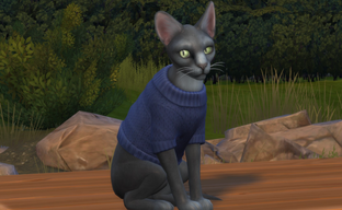 Утекли кадры Project Rene, новой игры по франшизе The Sims