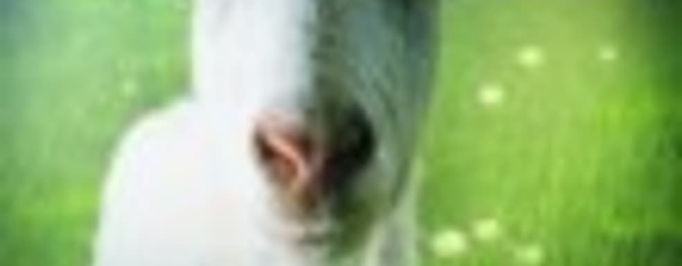 Goat Simulator выйдет на Xbox One и Xbox 360 в апреле