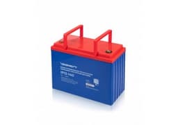 Ippon Company – First on the Market