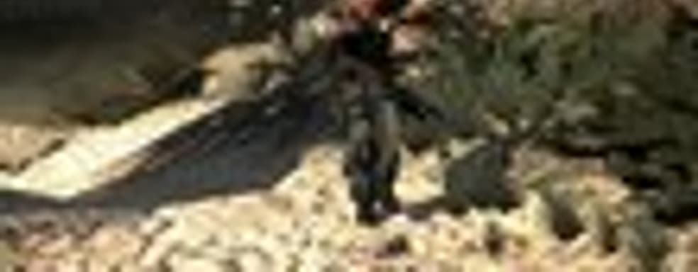 SOCOM 4: победные танцы