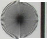 Мира, фрагменты