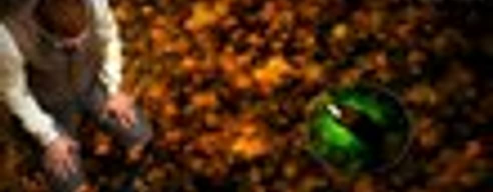 Трейлер русскоязычной версии The Testament of Sherlock Holmes