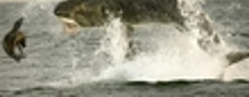 EA vs. Take-Two. Чем закончится схватка?