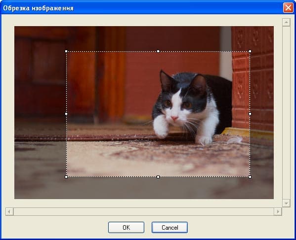 Кадрирование в ART Frames