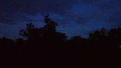 Видеосъемка фотоаппаратом Nikon D500