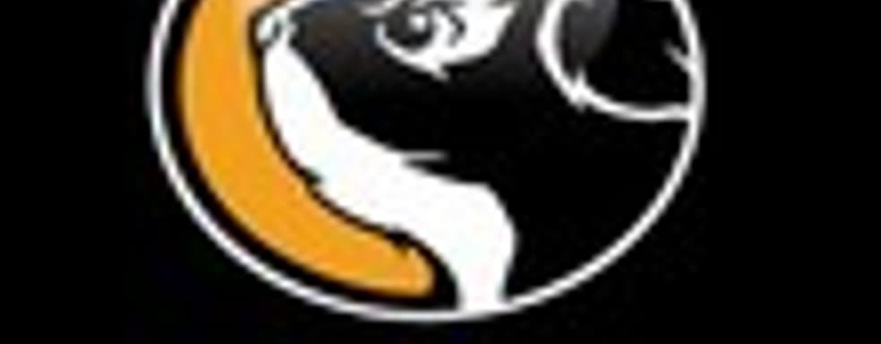 Streamline Studios помогала Capcom в разработке Street Fighter V