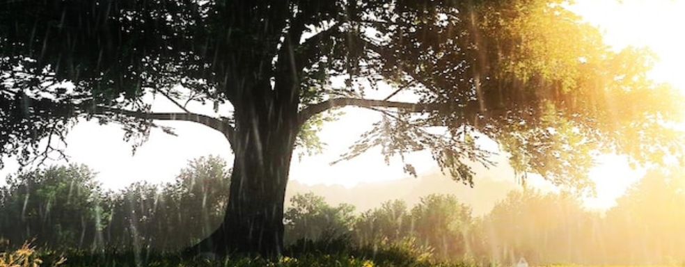 Игроки в Kingdom Come Deliverance 2 раскритиковали дождь, портящий впечатления от игры