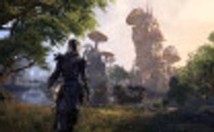 The Elder Scrolls Online продолжат развивать и после выхода The Elder Scrolls 6