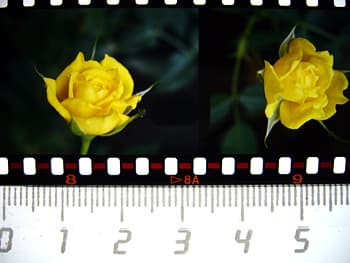 Panasonic Lumix DMC-FX9