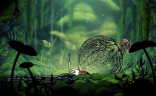 «Будут продавать в одном бандле с Half-Life 3». Игроки шутят по поводу статуса Hollow Knight: Silksong