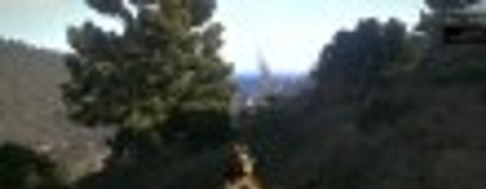 Arma3: природа, пчёлы и бабочки