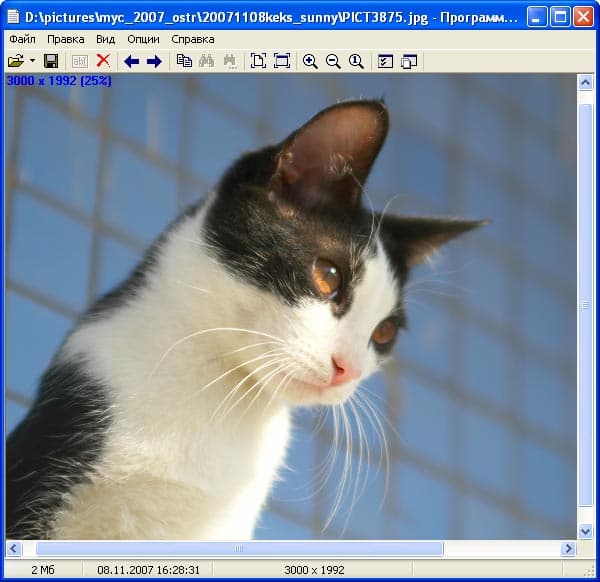 Просмотр изображений в Universal Viewer