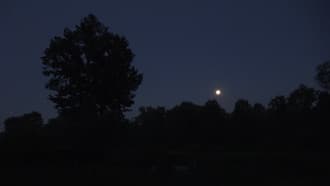 Видеокамера Sony FDR-AX100